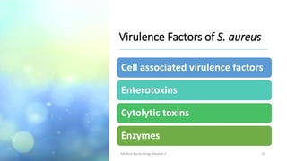 Virulence Factors of S. aureus
Cell associated virulence factors
Enterotoxins
Cytolytic toxins
Enzymes
8/11/2023 Medical Bacteriology Module 2 10
 