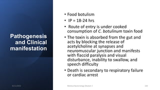 Pathogenesis
and Clinical
manifestation
• Food botulism
• IP = 18-24 hrs
• Route of entry is under cooked
consumption of C. botulinum toxin food
• The toxin is absorbed from the gut and
acts by blocking the release of
acetylcholine at synapses and
neuromuscular junction and manifests
with flaccid paralysis and visual
disturbance, inability to swallow, and
speech difficulty
• Death is secondary to respiratory failure
or cardiac arrest
8/11/2023 Medical Bacteriology Module 2 104
 