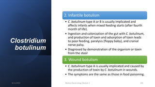 Clostridium
botulinum
2. Infantile botulism
• C. botulinum type A or B is usually implicated and
affects infants when mixed feeding starts (after fourth
month of life).
• Ingestion and colonization of the gut with C. botulinum,
and production of toxin and adsorption of toxin leads
to poor feeding, paralysis (floppy baby), and cranial
nerve palsy.
• Diagnosed by demonstration of the organism or toxin
from the stool
3. Wound botulism
• C. botulinum type A is usually implicated and caused by
the production of toxin by C. botulinum in wounds.
• The symptoms are the same as those in food poisoning.
8/11/2023 Medical Bacteriology Module 2 105
 