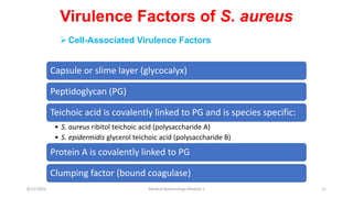 Capsule or slime layer (glycocalyx)
Peptidoglycan (PG)
Teichoic acid is covalently linked to PG and is species specific:
• S. aureus ribitol teichoic acid (polysaccharide A)
• S. epidermidis glycerol teichoic acid (polysaccharide B)
Protein A is covalently linked to PG
Clumping factor (bound coagulase)
Cell-Associated Virulence Factors
Virulence Factors of S. aureus
8/11/2023 Medical Bacteriology Module 2 11
 