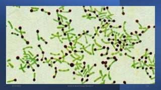 8/11/2023 Medical Bacteriology Module 2 114
 