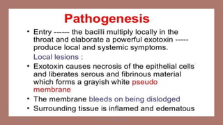 8/11/2023 Medical Bacteriology Module 2 117
 