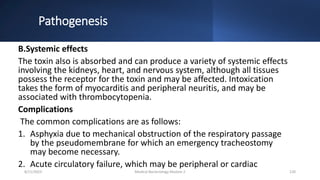 Pathogenesis
B.Systemic effects
The toxin also is absorbed and can produce a variety of systemic effects
involving the kidneys, heart, and nervous system, although all tissues
possess the receptor for the toxin and may be affected. Intoxication
takes the form of myocarditis and peripheral neuritis, and may be
associated with thrombocytopenia.
Complications
The common complications are as follows:
1. Asphyxia due to mechanical obstruction of the respiratory passage
by the pseudomembrane for which an emergency tracheostomy
may become necessary.
2. Acute circulatory failure, which may be peripheral or cardiac
8/11/2023 Medical Bacteriology Module 2 120
 