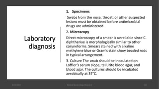 Laboratory
diagnosis
1. Specimens
Swabs from the nose, throat, or other suspected
lesions must be obtained before antimicrobial
drugs are administered.
2. Microscopy
Direct microscopy of a smear is unreliable since C.
diphtheriae is morphologically similar to other
coryneforms. Smears stained with alkaline
methylene blue or Gram’s stain show beaded rods
in typical arrangement.
3. Culture The swab should be inoculated on
Loffler’s serum slope, tellurite blood agar, and
blood agar. The cultures should be incubated
aerobically at 37°C.
8/11/2023 Medical Bacteriology Module 2 121
 