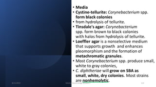 • Media
• Cystine-tellurite: Corynebacterium spp.
form black colonies
• from hydrolysis of tellurite.
• Tinsdale's agar: Corynebacterium
spp. form brown to black colonies
with halos from hydrolysis of tellurite.
• Loeffler agar is a nonselective medium
that supports growth and enhances
pleomorphism and the formation of
metachromatic granules.
• Most Corynebacterium spp. produce small,
white to gray colonies,
• C. diphtheriae will grow on SBA as
small, white, dry colonies. Most strains
are nonhemolytic.
8/11/2023 Medical Bacteriology Module 2 122
 