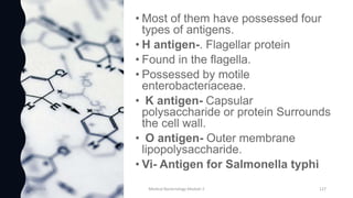 8/11/2023 Medical Bacteriology Module 2 127
 