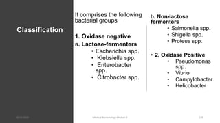 Classification
It comprises the following
bacterial groups
1. Oxidase negative
a. Lactose-fermenters
• Escherichia spp.
• Klebsiella spp.
• Enterobacter
spp.
• Citrobacter spp.
b. Non-lactose
fermenters
• Salmonella spp.
• Shigella spp.
• Proteus spp.
• 2. Oxidase Positive
• Pseudomonas
spp.
• Vibrio
• Campylobacter
• Helicobacter
8/11/2023 Medical Bacteriology Module 2 129
 