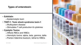 Types of enterotoxin
• Exfoliatin
o Epidermolytic toxin
• TSST-1: Toxic shock syndrome toxin-1
o Multisystem disease
o Stimulates T cell production & cytokines
• Cytolytic Toxins
oAffects RBCs and WBCs
o Hemolytic toxins: alpha, beta, gamma, delta
o Panton-Valentine leukocin, lethal to WBCs
8/11/2023 Medical Bacteriology Module 2 13
 