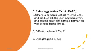 5. Enteroaggressive E.coli ( EAEC)
• Adhere to human intestinal mucosal cells
and produce ST-like toxin and hemolysin,
and causes acute and chronic diarrhea as
well as food-borne illness.
6. Diffusely adherent E coli
7. Uropathogenic E. coli
8/11/2023 Medical Bacteriology Module 2 133
 