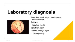 Laboratory diagnosis
Samples: stool, urine, blood or other
relevant sample
Culture:
• Isolation media
a) nutrient agar,
b)MacConkey’s agar.
b. Susceptibility
8/11/2023 Medical Bacteriology Module 2 136
 