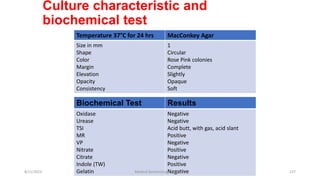 Culture characteristic and
biochemical test
Temperature 37°C for 24 hrs MacConkey Agar
Size in mm
Shape
Color
Margin
Elevation
Opacity
Consistency
1
Circular
Rose Pink colonies
Complete
Slightly
Opaque
Soft
Biochemical Test Results
Oxidase
Urease
TSI
MR
VP
Nitrate
Citrate
Indole (TW)
Gelatin
Negative
Negative
Acid butt, with gas, acid slant
Positive
Negative
Positive
Negative
Positive
Negative
8/11/2023 Medical Bacteriology Module 2 137
 
