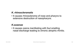 K. rhinoscleromatis
• It causes rhinoscleroma of nose and pharynx to
extensive destruction of nasopharynx.
K.ozaenae
• It causes ozena manifesting with foul smelling
nasal discharge leading to chronic atrophic rhinitis.
8/11/2023 Medical Bacteriology Module 2 142
 