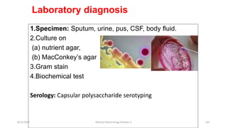 Laboratory diagnosis
1.Specimen: Sputum, urine, pus, CSF, body fluid.
2.Culture on
(a) nutrient agar,
(b) MacConkey’s agar
3.Gram stain
4.Biochemical test
Serology: Capsular polysaccharide serotyping
8/11/2023 Medical Bacteriology Module 2 143
 