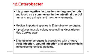 12.Enterobacter
• It is gram-negative lactose fermenting motile rods,
and found as a commensal in the intestinal tract of
humans and animals and moist environments.
• Medical important species is Enterobacter aerogens.
• It produces mucoid colony resembling Klebsiella on
Mac Conkey agar.
• Enterobacter aerogens is associated with urinary
tract infection, wound infection and septicaemia in
immunocompromised patients.
8/11/2023 Medical Bacteriology Module 2 145
 