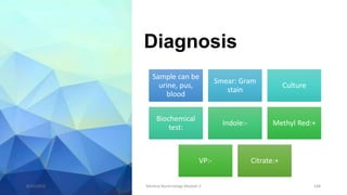 Diagnosis
Sample can be
urine, pus,
blood
Smear: Gram
stain
Culture
Biochemical
test:
Indole:- Methyl Red:+
VP:- Citrate:+
8/11/2023 Medical Bacteriology Module 2 148
 