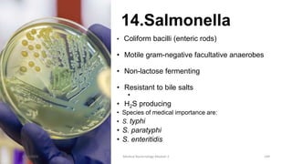 14.Salmonella
• Coliform bacilli (enteric rods)
• Motile gram-negative facultative anaerobes
• Non-lactose fermenting
• Resistant to bile salts
•
• H2S producing
• Species of medical importance are:
• S. typhi
• S. paratyphi
• S. enteritidis
8/11/2023 Medical Bacteriology Module 2 149
 
