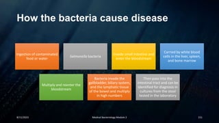 How the bacteria cause disease
Ingestion of contaminated
food or water
Salmonella bacteria
Invade small intestine and
enter the bloodstream
Carried by white blood
cells in the liver, spleen,
and bone marrow
Multiply and reenter the
bloodstream
Bacteria invade the
gallbladder, biliary system,
and the lymphatic tissue
of the bowel and multiply
in high numbers
Then pass into the
intestinal tract and can be
identified for diagnosis in
cultures from the stool
tested in the laboratory
8/11/2023 Medical Bacteriology Module 2 151
 