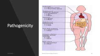 Pathogenicity
8/11/2023 Medical Bacteriology Module 2 16
 