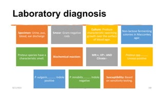 Laboratory diagnosis
Specimen: Urine, pus,
blood, ear discharge
Smear: Gram-negative
rods
Culture: Produce
characteristic swarming
growth over the surface
of blood agar.
Non-lactose fermenting
colonies in Macconkey
agar.
Proteus species have a
characteristic smell.
Biochemical reaction:
MR:+, VP:- AND
Citrate:-
Proteus spp………..
Urease positive
P. vulgaris………... Indole
positive
P. mirabilis……….. Indole
negative
Susceptibility: Based
on sensitivity testing.
8/11/2023 Medical Bacteriology Module 2 166
 