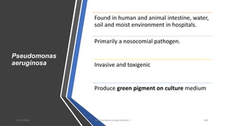 Pseudomonas
aeruginosa
Found in human and animal intestine, water,
soil and moist environment in hospitals.
Primarily a nosocomial pathogen.
Invasive and toxigenic
Produce green pigment on culture medium
8/11/2023 Medical Bacteriology Module 2 168
 