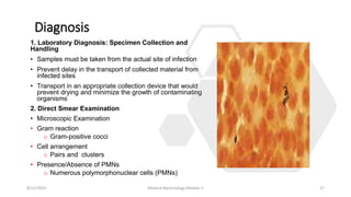 Diagnosis
1. Laboratory Diagnosis: Specimen Collection and
Handling
• Samples must be taken from the actual site of infection
• Prevent delay in the transport of collected material from
infected sites
• Transport in an appropriate collection device that would
prevent drying and minimize the growth of contaminating
organisms
2. Direct Smear Examination
• Microscopic Examination
• Gram reaction
o Gram-positive cocci
• Cell arrangement
o Pairs and clusters
• Presence/Absence of PMNs
o Numerous polymorphonuclear cells (PMNs)
8/11/2023 Medical Bacteriology Module 2 17
 
