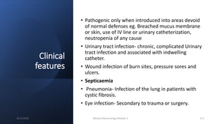 Clinical
features
• Pathogenic only when introduced into areas devoid
of normal defenses eg. Breached mucus membrane
or skin, use of IV line or urinary catheterization,
neutropenia of any cause
• Urinary tract infection- chronic, complicated Urinary
tract infection and associated with indwelling
catheter.
• Wound infection of burn sites, pressure sores and
ulcers.
• Septicaemia
• Pneumonia- Infection of the lung in patients with
cystic fibrosis.
• Eye infection- Secondary to trauma or surgery.
8/11/2023 Medical Bacteriology Module 2 171
 