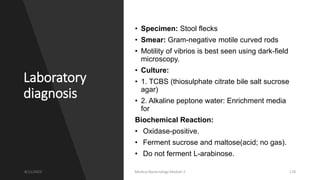 Laboratory
diagnosis
• Specimen: Stool flecks
• Smear: Gram-negative motile curved rods
• Motility of vibrios is best seen using dark-field
microscopy.
• Culture:
• 1. TCBS (thiosulphate citrate bile salt sucrose
agar)
• 2. Alkaline peptone water: Enrichment media
for
Biochemical Reaction:
• Oxidase-positive.
• Ferment sucrose and maltose(acid; no gas).
• Do not ferment L-arabinose.
8/11/2023 Medical Bacteriology Module 2 178
 