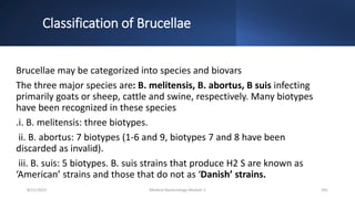Classification of Brucellae
Brucellae may be categorized into species and biovars
The three major species are: B. melitensis, B. abortus, B suis infecting
primarily goats or sheep, cattle and swine, respectively. Many biotypes
have been recognized in these species
.i. B. melitensis: three biotypes.
ii. B. abortus: 7 biotypes (1-6 and 9, biotypes 7 and 8 have been
discarded as invalid).
iii. B. suis: 5 biotypes. B. suis strains that produce H2 S are known as
‘American’ strains and those that do not as ‘Danish’ strains.
8/11/2023 Medical Bacteriology Module 2 181
 