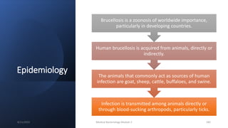 Epidemiology
Infection is transmitted among animals directly or
through blood-sucking arthropods, particularly ticks.
The animals that commonly act as sources of human
infection are goat, sheep, cattle, buffaloes, and swine.
Human brucellosis is acquired from animals, directly or
indirectly.
Brucellosis is a zoonosis of worldwide importance,
particularly in developing countries.
8/11/2023 Medical Bacteriology Module 2 182
 