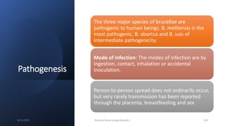 Pathogenesis
The three major species of brucellae are
pathogenic to human beings. B. melitensis is the
most pathogenic, B. abortus and B. suis of
intermediate pathogenicity.
Mode of infection: The modes of infection are by
ingestion, contact, inhalation or accidental
inoculation.
Person-to-person spread does not ordinarily occur,
but very rarely transmission has been reported
through the placenta, breastfeeding and sex
8/11/2023 Medical Bacteriology Module 2 183
 