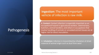 Pathogenesis
Ingestion: The most important
vehicle of infection is raw milk.
ii. Contact: Contact infection is especially important as an
occupational hazard in agricultural workers, veterinarians,
butchers, animal handlers, and others in occupations that
involve handling of animals or uncooked animal tissues are at
higher risk for direct inoculation.
iii. Inhalation: Infection is transmitted by inhalation of dried
material of animal origin such as dust from wool
8/11/2023 Medical Bacteriology Module 2 184
 