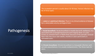 Pathogenesis
The incubation period is usually about 10–30 days. Human infection may
be of three types:
1. Latent or subclinical infection: There is no clinical evidence of disease
but is detectable only by serological tests.
2. Acute brucellosis: Acute brucellosis is mostly due to B. melitensis. It is
associated with prolonged bacteremia and irregular fever. It is also
known as undulant fever or Malta fever because of the periodic noctural
fever that may occur over weeks, months or years particularly in
untreated cases.
3. Chronic brucellosis: Chronic brucellosis is a low grade infection with
periodic exacerbations. It is usually nonbacteremic. The illness lasts for
years.
8/11/2023 Medical Bacteriology Module 2 185
 