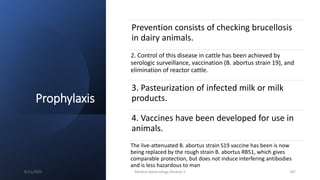 Prophylaxis
Prevention consists of checking brucellosis
in dairy animals.
2. Control of this disease in cattle has been achieved by
serologic surveillance, vaccination (B. abortus strain 19), and
elimination of reactor cattle.
3. Pasteurization of infected milk or milk
products.
4. Vaccines have been developed for use in
animals.
The live-attenuated B. abortus strain S19 vaccine has been is now
being replaced by the rough strain B. abortus RB51, which gives
comparable protection, but does not induce interfering antibodies
and is less hazardous to man
8/11/2023 Medical Bacteriology Module 2 187
 