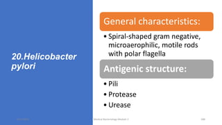 20.Helicobacter
pylori
General characteristics:
• Spiral-shaped gram negative,
microaerophilic, motile rods
with polar flagella
Antigenic structure:
• Pili
• Protease
• Urease
8/11/2023 Medical Bacteriology Module 2 188
 
