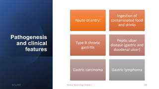 Pathogenesis
and clinical
features
Route of entry:
Ingestion of
contaminated food
and drinks
Type B chronic
gastritis
Peptic ulcer
disease (gastric and
duodenal ulcer)
Gastric carcinoma Gastric lymphoma
8/11/2023 Medical Bacteriology Module 2 189
 