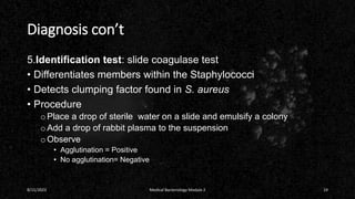 Diagnosis con’t
5.Identification test: slide coagulase test
• Differentiates members within the Staphylococci
• Detects clumping factor found in S. aureus
• Procedure
oPlace a drop of sterile water on a slide and emulsify a colony
oAdd a drop of rabbit plasma to the suspension
oObserve
• Agglutination = Positive
• No agglutination= Negative
8/11/2023 Medical Bacteriology Module 2 19
 