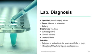 Lab. Diagnosis
• Specimen: Gastric biopsy, serum
• Smear: Giemsa or silver stain
• Culture:
Biochemical reaction:
• Catalase positive
• Oxidase positive
• Urease positive
Serology:
• Detection of antibodies in the serum specific for H. pylori
• Detection of H. pylori antigen in stool specimen
8/11/2023 Medical Bacteriology Module 2 190
 