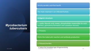 Mycobacterium
tuberculosis
Strictly aerobic acid-fast bacilli.
The main reservoir is an infected human.
Antigenic structure:
1. Lipids: Mycolic acid, waxes, phosphatides responsible for acid-
fastness, granuloma formation and caseation necrosis.
2. Proteins
Elicits the tuberculin reaction and antibody production.
3. Polysaccharides
• Induce the immediate type of hypersensitivity.
8/11/2023 Medical Bacteriology Module 2 195
 