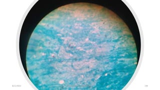 8/11/2023 Medical Bacteriology Module 2 198
 