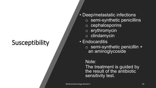 Susceptibility
• Deep/metastatic infections
o semi-synthetic penicillins
o cephalosporins
o erythromycin
o clindamycin
• Endocarditis
o semi-synthetic penicillin +
an aminoglycoside
Note:
The treatment is guided by
the result of the antibiotic
sensitivity test.
8/11/2023 Medical Bacteriology Module 2 20
 