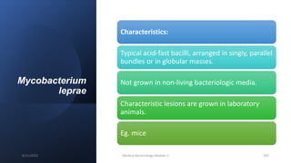 Mycobacterium
leprae
Characteristics:
Typical acid-fast bacilli, arranged in singly, parallel
bundles or in globular masses.
Not grown in non-living bacteriologic media.
Characteristic lesions are grown in laboratory
animals.
Eg. mice
8/11/2023 Medical Bacteriology Module 2 202
 
