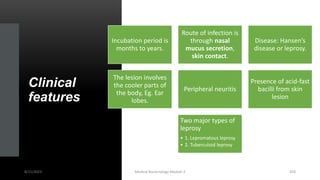 Clinical
features
Incubation period is
months to years.
Route of infection is
through nasal
mucus secretion,
skin contact.
Disease: Hansen’s
disease or leprosy.
The lesion involves
the cooler parts of
the body, Eg. Ear
lobes.
Peripheral neuritis
Presence of acid-fast
bacilli from skin
lesion
Two major types of
leprosy
• 1. Lepromatous leprosy
• 2. Tuberculoid leprosy
8/11/2023 Medical Bacteriology Module 2 203
 