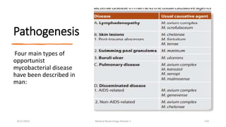 Pathogenesis
Four main types of
opportunist
mycobacterial disease
have been described in
man:
8/11/2023 Medical Bacteriology Module 2 210
 