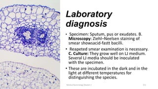 Laboratory
diagnosis
• Specimen: Sputum, pus or exudates. B.
Microscopy: Ziehl–Neelsen staining of
smear showsacid-fastt bacilli.
• Reapeted smear examination is necessary.
C. Culture: They grow well on LJ medium.
Several LJ media should be inoculated
with the specimen.
• These are incubated in the dark and in the
light at different temperatures for
distinguishing the species.
8/11/2023 Medical Bacteriology Module 2 211
 