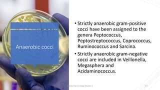 Anaerobic cocci
• Strictly anaerobic gram-positive
cocci have been assigned to the
genera Peptococcus,
Peptostreptococcus, Coprococcus,
Ruminococcus and Sarcina.
• Strictly anaerobic gram-negative
cocci are included in Veillonella,
Megasphera and
Acidaminococcus.
8/11/2023 Medical Bacteriology Module 2 217
 