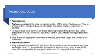 Anaerobic cocci
• Peptococcus
• Peptococcus niger is the only surviving member of the genus Peptococcus. They are
gram-positive, nonsporing, anaerobic cocci, that occur singly or in pairs or in
clusters.
• They produce black colonies on blood agar on prolonged incubation due to the
production of H2 S. They occur as normal flora of skin, intestine and genitourinary
tract.
• They may cause pyogenic infections of wounds, puerperal sepsis and urinary tract
infections.
• Peptostreptococcus
• They are cocci of small size (0.2–2.5 µm). Many of them are aerotolerant and grow
well under 10% CO2 in an aerobic atmosphere. Peptostreptococcus anaerobic is
most often responsible for puerperal sepsis and Pst. magnus for abscesses.
8/11/2023 Medical Bacteriology Module 2 219
 