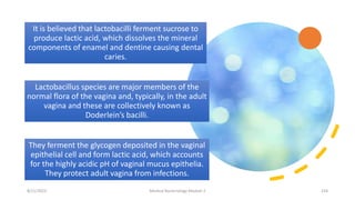 It is believed that lactobacilli ferment sucrose to
produce lactic acid, which dissolves the mineral
components of enamel and dentine causing dental
caries.
Lactobacillus species are major members of the
normal flora of the vagina and, typically, in the adult
vagina and these are collectively known as
Doderlein’s bacilli.
They ferment the glycogen deposited in the vaginal
epithelial cell and form lactic acid, which accounts
for the highly acidic pH of vaginal mucus epithelia.
They protect adult vagina from infections.
8/11/2023 Medical Bacteriology Module 2 224
 