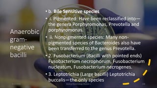 Anaerobic
gram-
negative
bacilli
• b. Bile Sensitive species
• i. Pigmented: Have been reclassified into—
the genera Porphyromonas, Prevotella and
porphyromonas.
• ii. Nonpigmented species: Many non-
pigmented species of Bacteroides also have
been transferred to the genus Prevotella.
• 2. Fusobacterium (Bacilli with pointed ends)
Fusobacterium necrophorum, Fusobacterium
nucleatum, Fusobacterium necrogenes.
• 3. Leptotrichia (Large bacilli) Leptotrichia
buccalis—the only species
8/11/2023 Medical Bacteriology Module 2 228
 