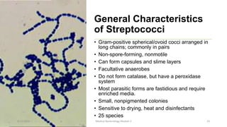 General Characteristics
of Streptococci
• Gram-positive spherical/ovoid cocci arranged in
long chains; commonly in pairs
• Non-spore-forming, nonmotile
• Can form capsules and slime layers
• Facultative anaerobes
• Do not form catalase, but have a peroxidase
system
• Most parasitic forms are fastidious and require
enriched media.
• Small, nonpigmented colonies
• Sensitive to drying, heat and disinfectants
• 25 species
8/11/2023 Medical Bacteriology Module 2 23
 