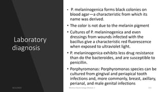 Laboratory
diagnosis
• P. melaninogenica forms black colonies on
blood agar—a characteristic from which its
name was derived.
• The color is not due to the melanin pigment
• Cultures of P. melaninogenica and even
dressings from wounds infected with the
bacillus give a characteristic red fluorescence
when exposed to ultraviolet light.
• P. melaninogenica exhibits less drug resistance
than do the bacteroides, and are susceptible to
penicillin.
• Porphyromonas: Porphyromonas species can be
cultured from gingival and periapical tooth
infections and, more commonly, breast, axillary,
perianal, and male genital infections
8/11/2023 Medical Bacteriology Module 2 231
 